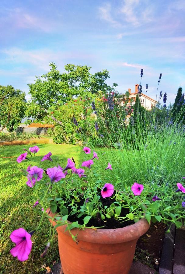 Guesthouse Olei Malinska Exterior photo